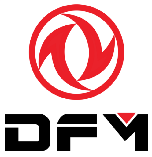 DFM